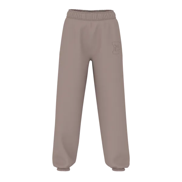 Спортивний костюм PINK Ivy Fleece Campus Full-Zip Hoodie+ Ivy Fleece Campus Sweatpants Iced Coffee